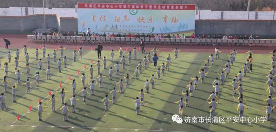 平安县小学新项目，塑造未来教育蓝图