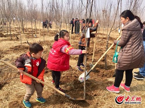 临沂市国土资源局最新招聘启事概览