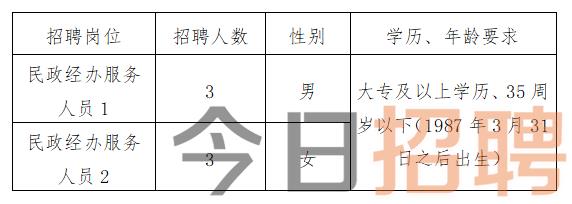 东城区民政局最新招聘信息概览