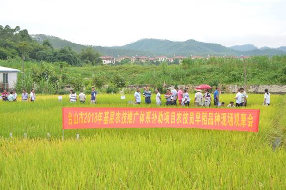 韶山市农业农村局新项目推动农业现代化，乡村振兴再添新动力