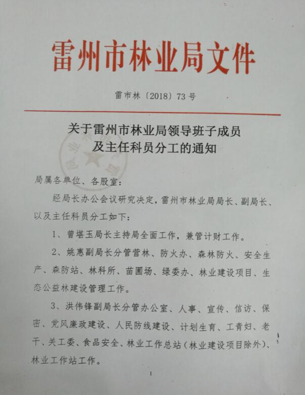 雷州林业局虚拟镇最新人事任命及其影响