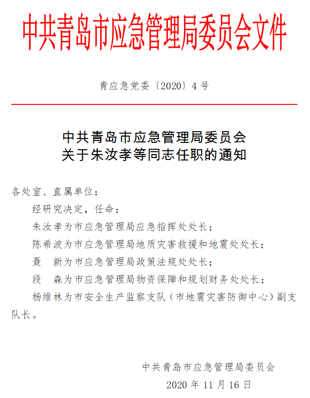 沙河市应急管理局人事任命完成，构建更强大的应急管理体系