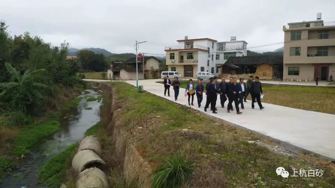 白原村委会发展规划概览，未来蓝图揭秘